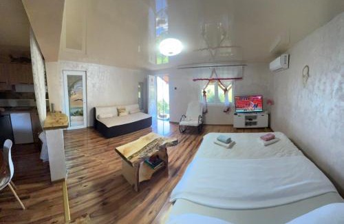 Donji Milanovac Apartment | Dunavski raj