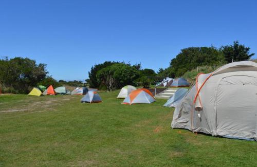 Saint Kilda Resort | Dunedin Holiday Park