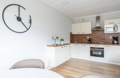 Municipality of Ameland Apartment | Dünenloft 53 Ameland for up to 4 people - pets welcome - south-facing balcony, close to the beach