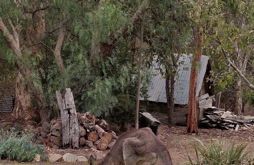 Dunkeld House | Dunkeld Secret Garden & Grampians Peaks Trail End