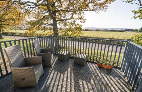 Fintry Apartment | Dunroamin Apartment