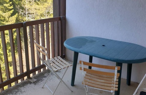 Saint-Pierre-de-Chartreuse Apartment | Duplex lumineux et spacieux en plein centre bourg