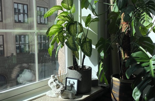 Oslo City Centre Condo | Duplex apartment in the heart of Oslo