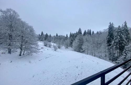 Bakuriani Apartment | Duplex apartment near the forest