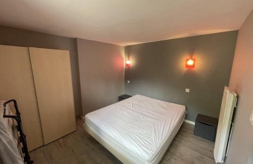 Saint-Jacques-des-Blats Apartment | Duplex confortable 52m² - 2 chambres - Près des pistes - Parking gratuit - Non fumeur - FR-1-787-11