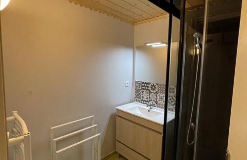 Saint-Jacques-des-Blats Apartment | Duplex confortable 52m² - 2 chambres - Près des pistes - Parking gratuit - Non fumeur - FR-1-787-11