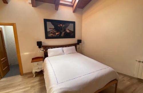 Sesue Apartment | Duplex Kasares en Sesué No VU HUESCA24037