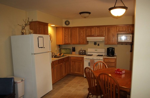 Land O Lakes Condo | Duplex Style Cabin on Big Portage Lake
