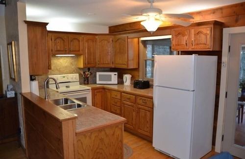 Cedar Mountain Cabin | Dupont, Waterfall, Wifi, Fenced Yard, Pets Ok, 40 acres