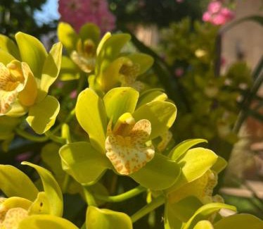 Berea Villa | Durban Italian villa 1&2