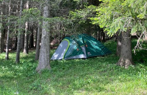 Razvrsje Apartment | Durmitor Apartments Holiday
