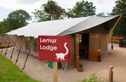 Trinity Other | Durrell Wildlife Camp