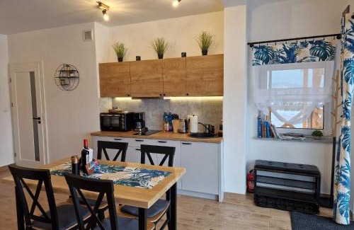 Duszniki Zdroj Apartment | Dusznickie Apartamenty z widokiem