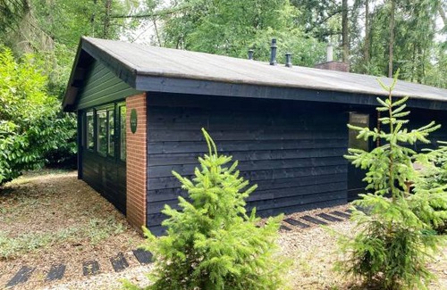 Rheezerveen House | Dutch Cabin Houses C67