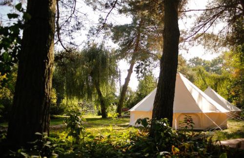 Zabuze Hotel | Dwór w Zabużu