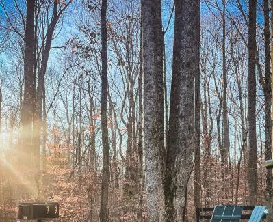 Cookeville Cabin | Dwell477
