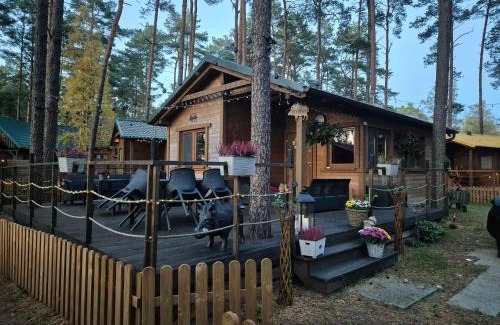 gmina Karsin Resort | Dzik w zagrodzie