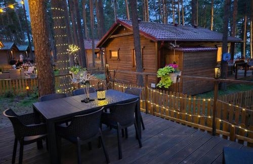 gmina Karsin Resort | Dzik w zagrodzie
