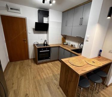 Orneta Apartment | Dziupla