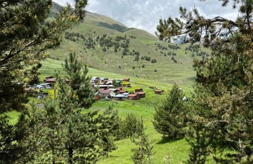 Dartlo Hotel | "Dzveli galavani" Tusheti Diklo "ძველი გალავანი"