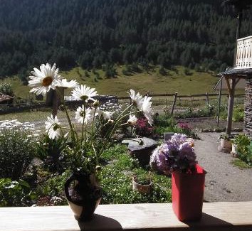 Dartlo Hotel | "Dzveli galavani" Tusheti Diklo "ძველი გალავანი"