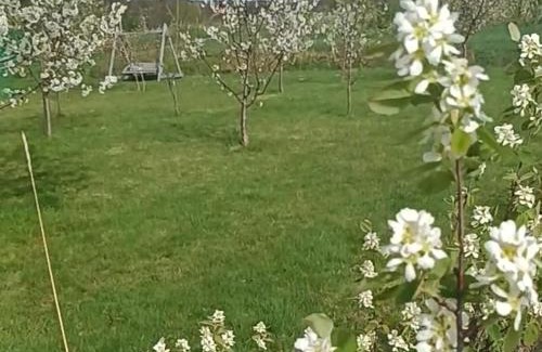 gmina Olszyna House | E Berry Farm - Slow life home