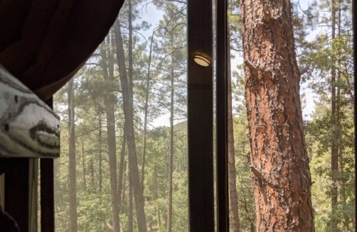 Prescott RV Rental | E4 Fresh Cool Mountain Air Glamping Forest