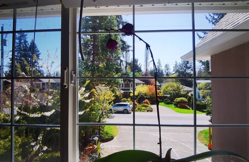 Cordova Bay House | Eagle's guest suits: two bedrooms living room private kitchen and full washroom