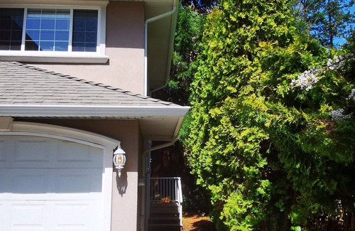Cordova Bay House | Eagle's guest suits: two bedrooms living room private kitchen and full washroom