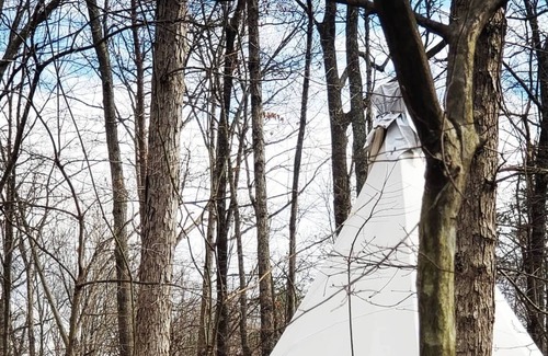 Lynchburg Cabin | Eagle's Landing ~ Upscale Camping in Native American Tipi