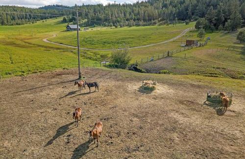 Oroville Apartment | Eagle's Roost Cabin - Eden Valley