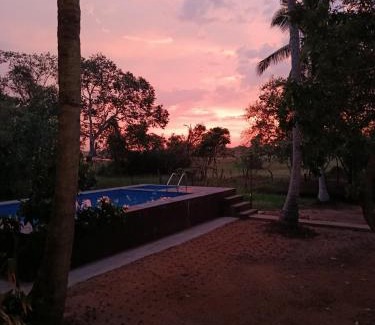 Nochchiyagama Hotel | Eagle Wilpattu Resort