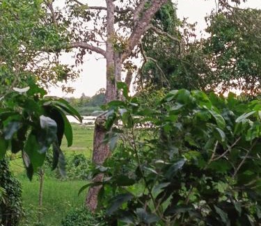 Nochchiyagama Hotel | Eagle Wilpattu Resort