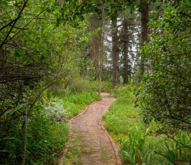 Wilderness House | Eagles' Call Cottages and Tent