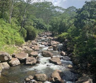 Digana House | Eagles Eco Lodge - Kandy