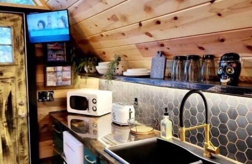 Indian River Cabin | Eagles Nest A-frame: Riverfront Cabin: Add-on Treehouse Bedroom, Pet Friendly!