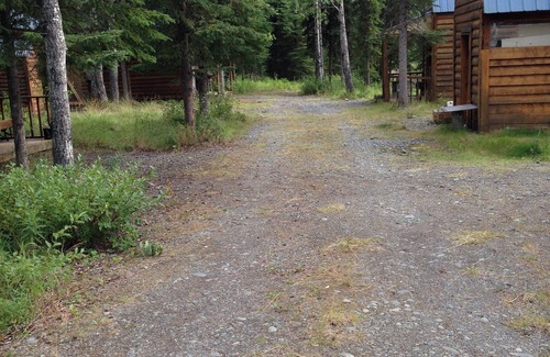 Cohoe Cabin | Eagles Nest Cabin In The Woods