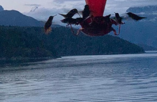 Earls Cove Bed & Breakfast | Earls Cove Orca View