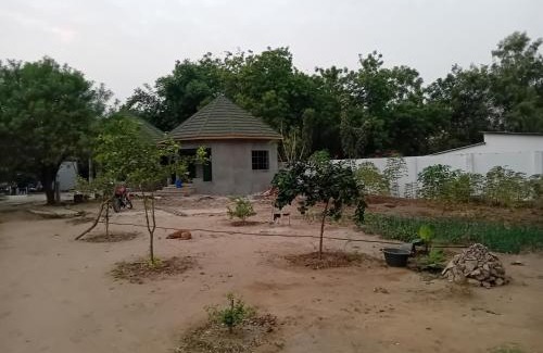 Janjanbureh Cabin | Early Bird Lodge
