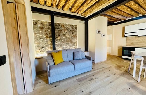 Vigo di Ton Apartment | EARTH - Apartment