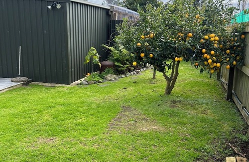 Te Kaha Cottage | East Coast Paradise! Space space and more space!