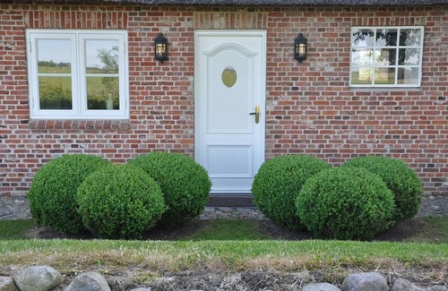 Poppenbull House | Easter dike Molehill - Thatched semi-detached house Molehill