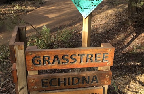 North Bruny House | Echidna on Bruny, luxury within island bushland