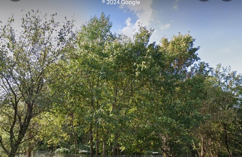 Murphysboro RV Rental | Eclipse Campsite 1