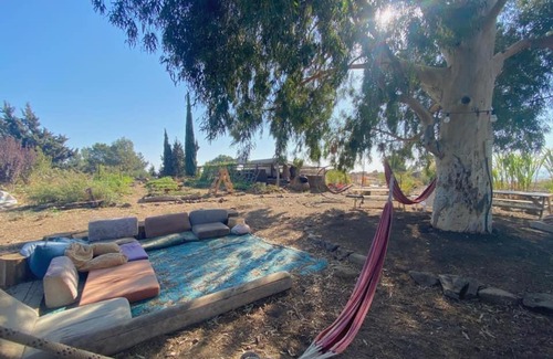 Qatsrin Other | eco bus