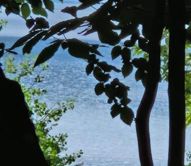Ambrolauri Other | Eco Cottages Shaori Lake