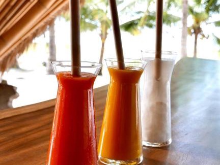 Wodong Hotel | Eco dive resort Alycastre