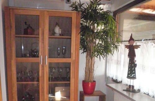 Bingen House | Eco energy saving apartment