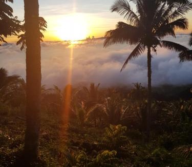 Mahinog House | Eco Farm Romantic Stone House with STARLINK internet 700 meters above sea level