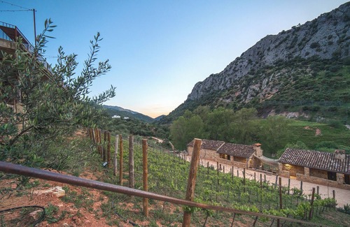 Benaojan House | Eco-Finca Cueva del Gato, ideal for families with pets surrounded by nature.